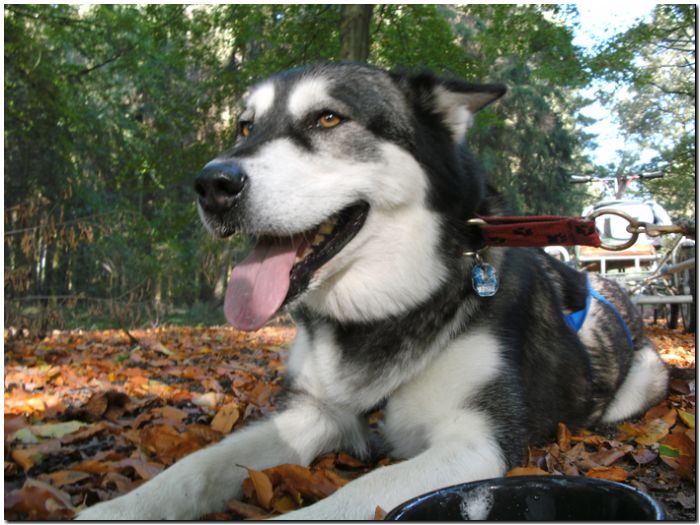 Tour Odenwald 093.jpg